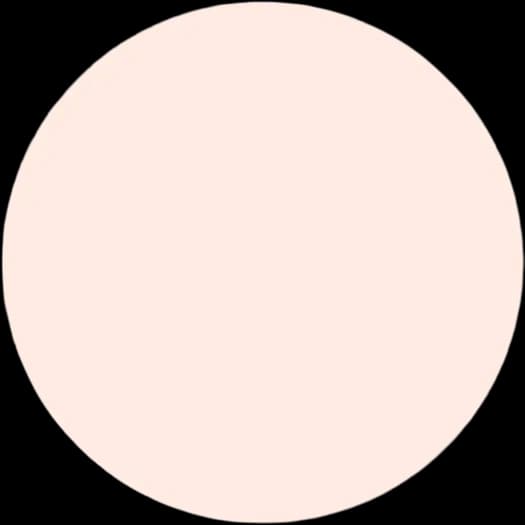 orange-circle